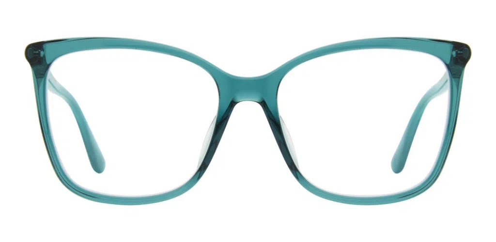 Stuart Weitzman WZN1019 Eyeglasses - view 6